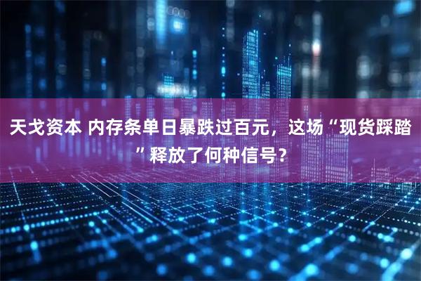 天戈资本 内存条单日暴跌过百元，这场“现货踩踏”释放了何种信号？