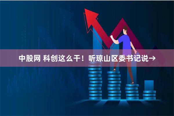 中股网 科创这么干！听琼山区委书记说→