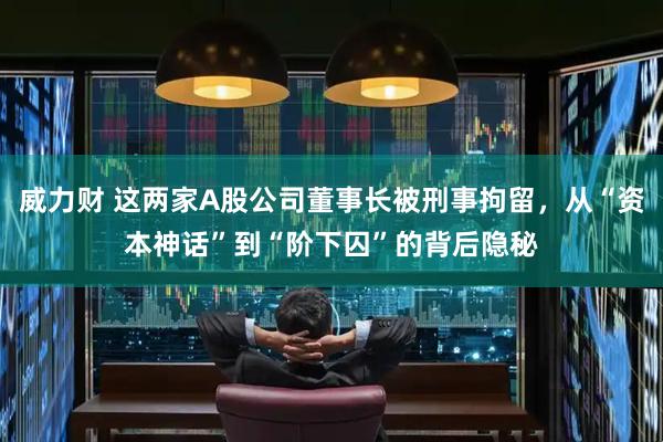 威力财 这两家A股公司董事长被刑事拘留，从“资本神话”到“阶下囚”的背后隐秘
