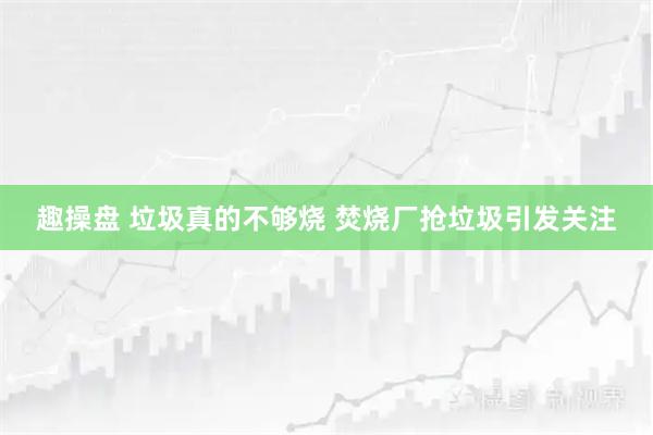 趣操盘 垃圾真的不够烧 焚烧厂抢垃圾引发关注
